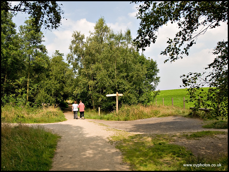 Three Sisters Path